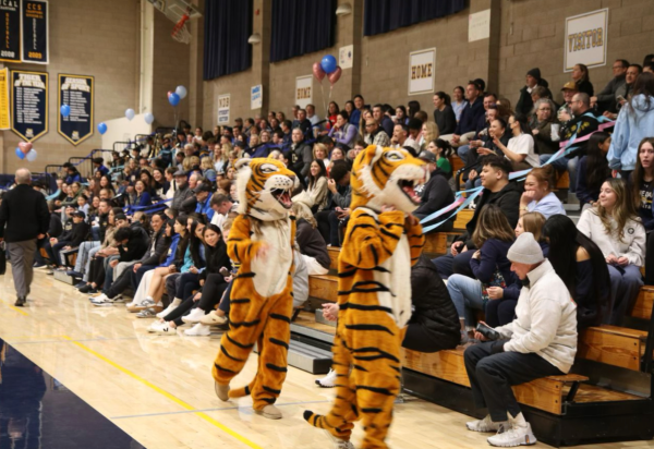 The spirited “Knockout Cancer” basketball game is an example of a fun high school experience that should be prioritized over the hyper-focus on grades. 